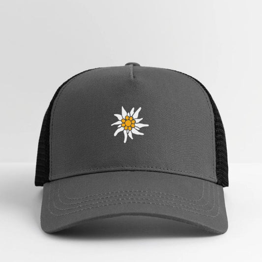 White Alps Edelweiss Flower Mountain Hiking Flower