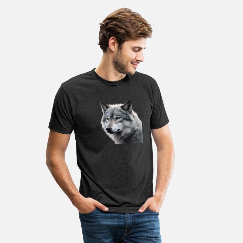 Wolf grey portrait grey wolves nature animal