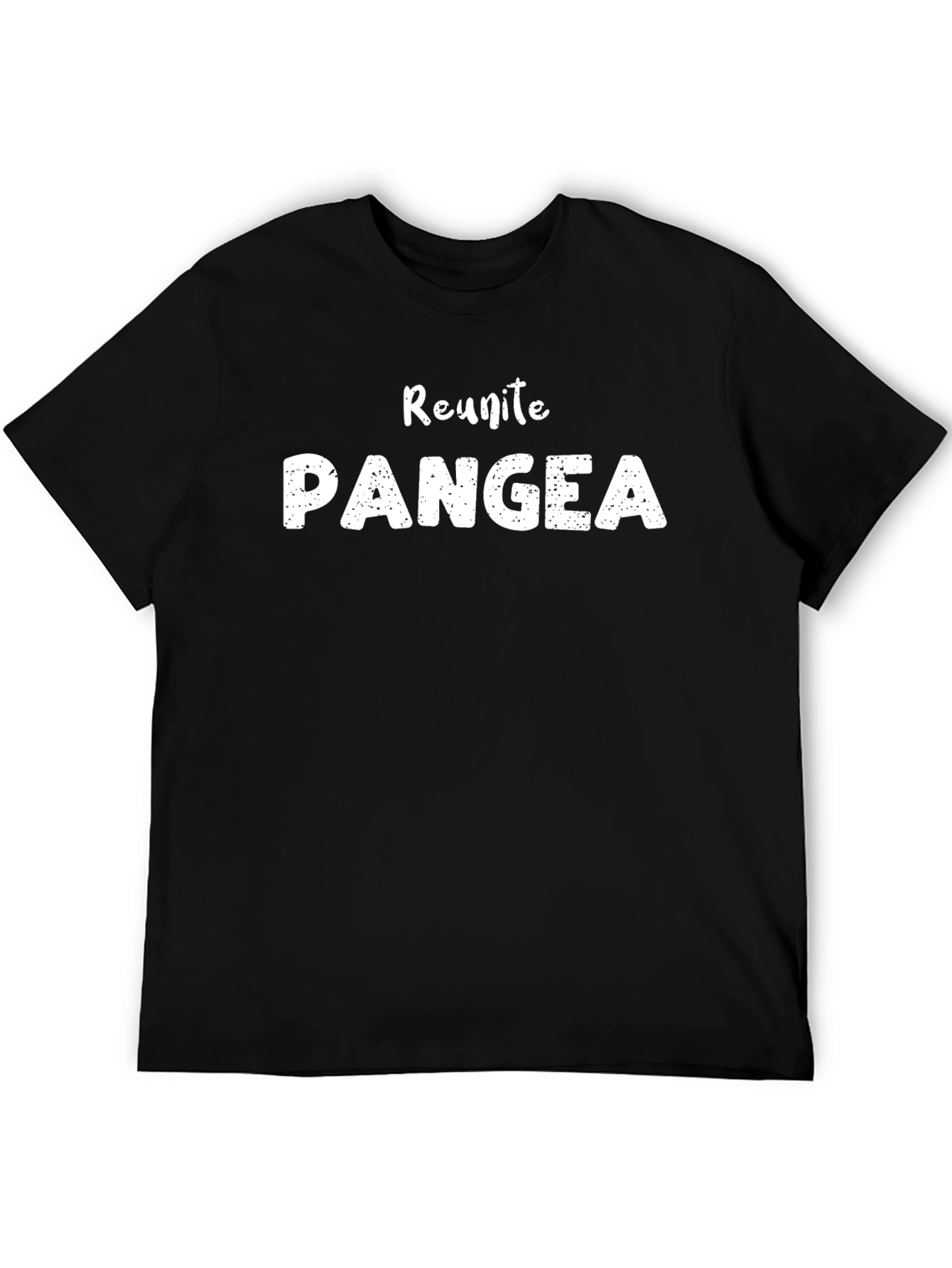Reunite Pangea Funny Graphic Tee
