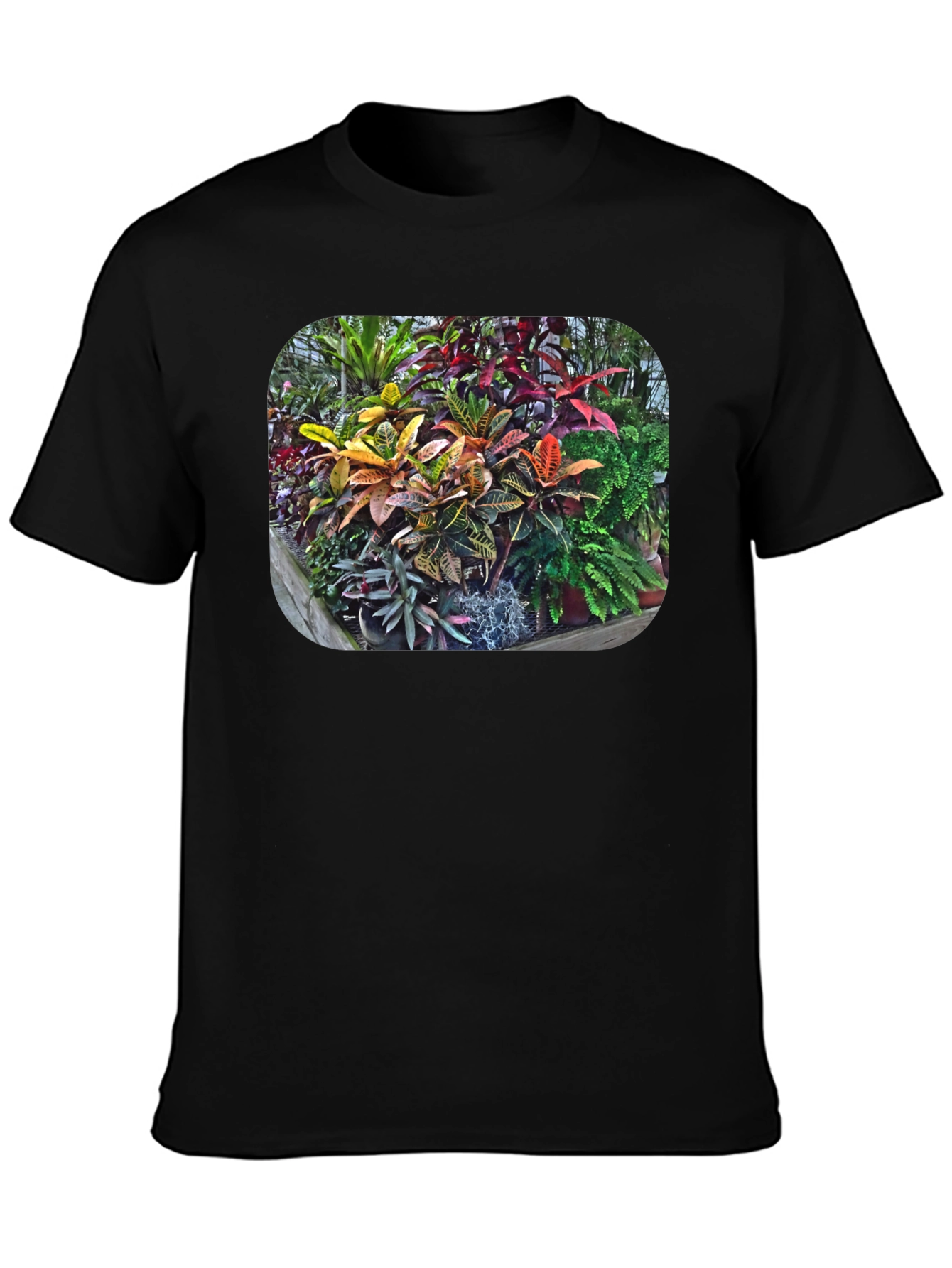 Tropical Plant Print T-Shirt - Black