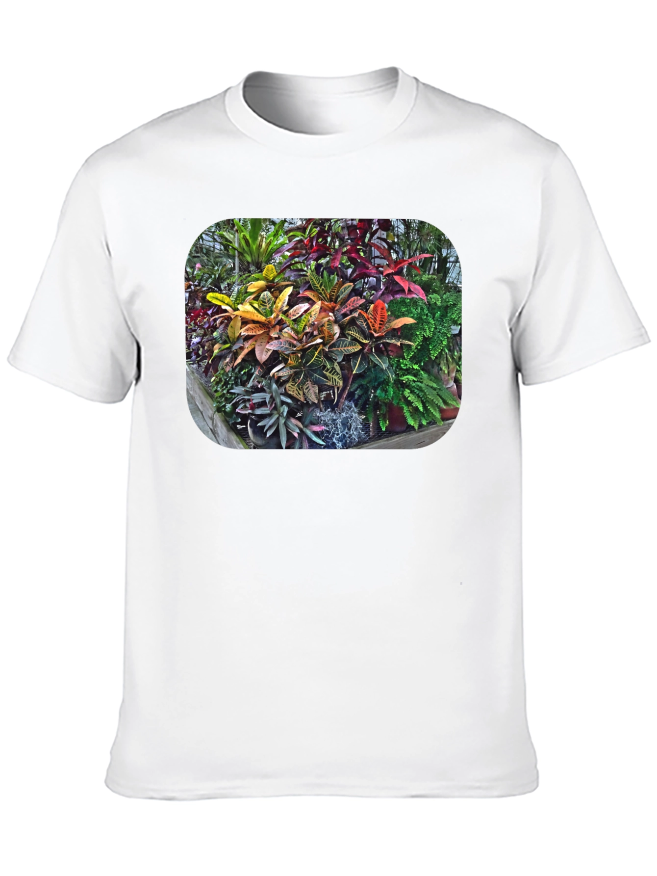 Tropical Plant Print T-Shirt - Black