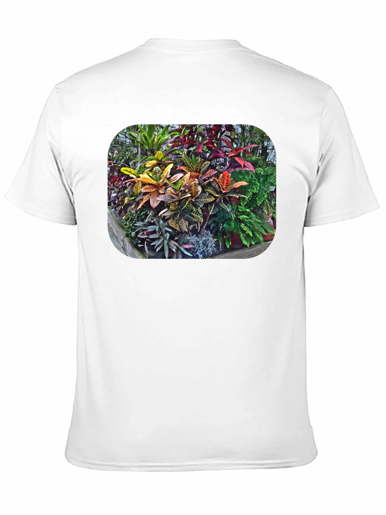Tropical Plant Print T-Shirt - Black