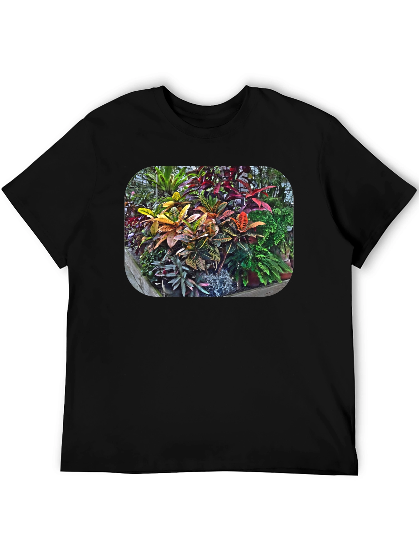 Tropical Plant Print T-Shirt - Black